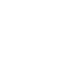 Icon Handicapped